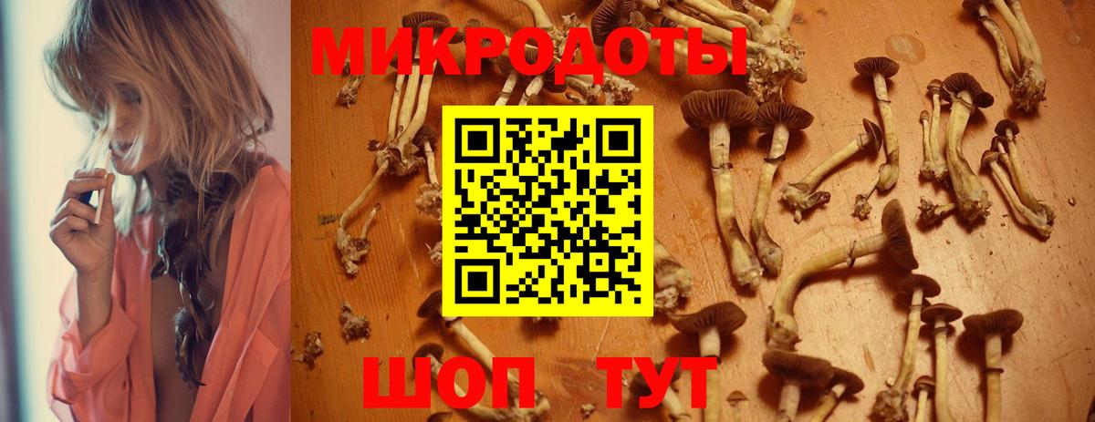 Псилоцибиновые грибы Psilocybine cubensis  Вход с VPN  Люберцы 
